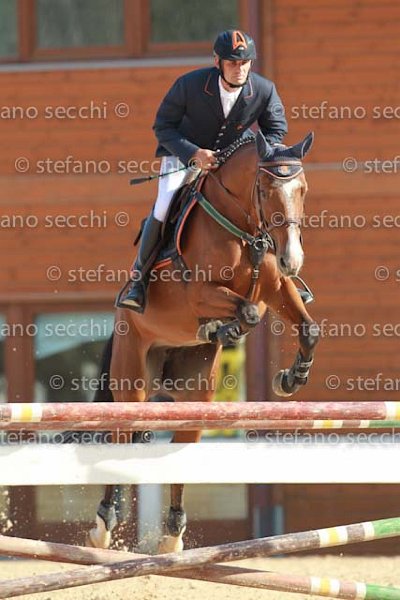 MION_CASH_GIO CAV 2011_SS3_7578.jpg